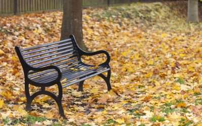 Build a robust portfolio for all seasons